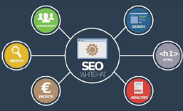 龙岗网站SEO 优化  推广